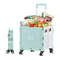 Carro para Compras Plegable Verde