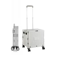 Carro para Compras Plegable Gris