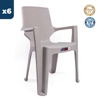 Silla Plástica Reggina con Brazos Rattan Pistacho Colplast Set X 6 Unidades