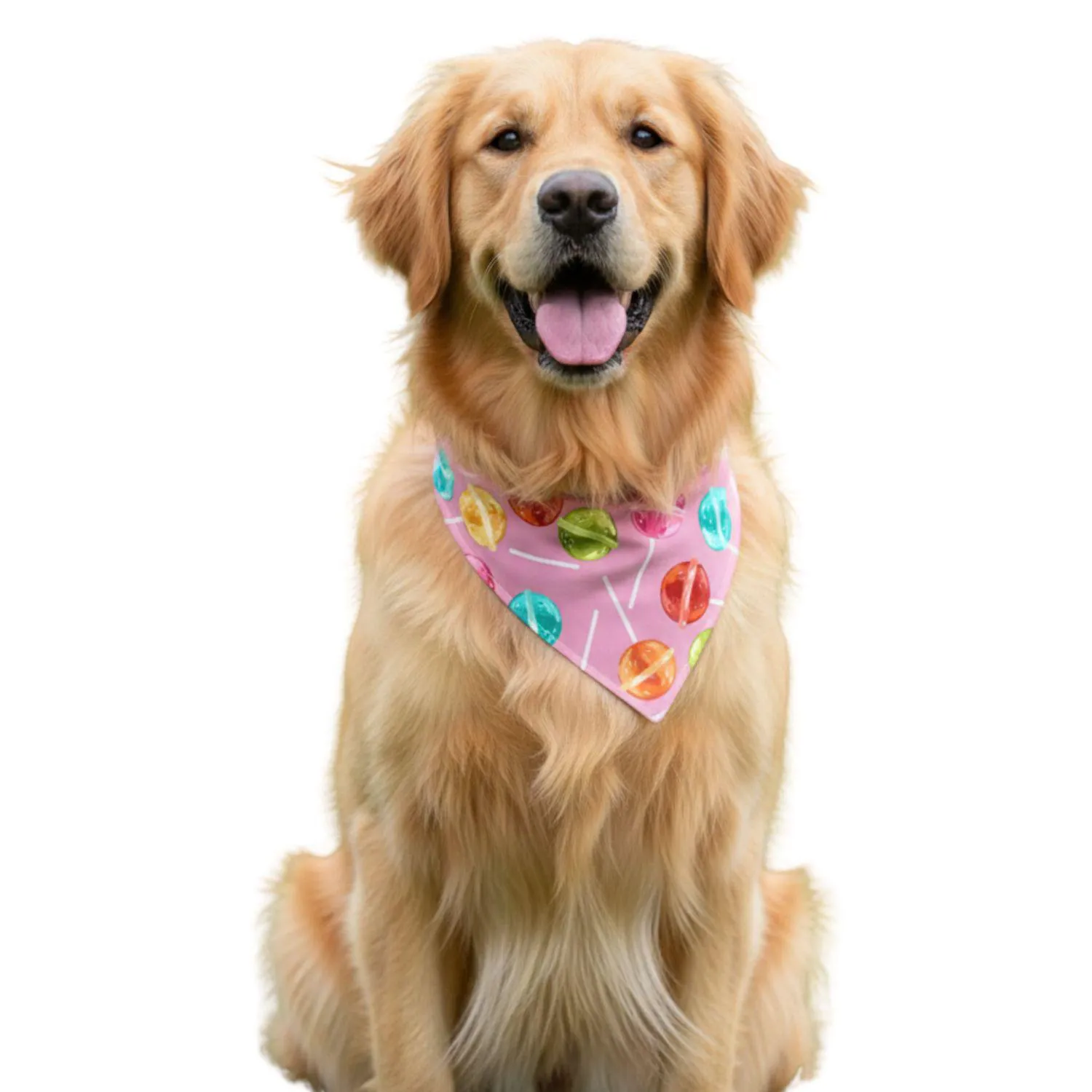 Pañoleta Para Mascotas  Talla L Disenos Surtidos 3
