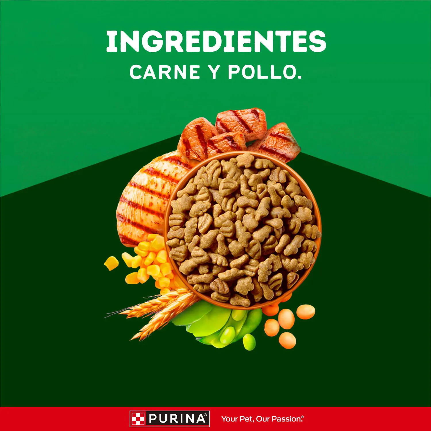 Comida para Perro Dog Chow Adulto Todos Los Tamaños X 22.7 Kg 5