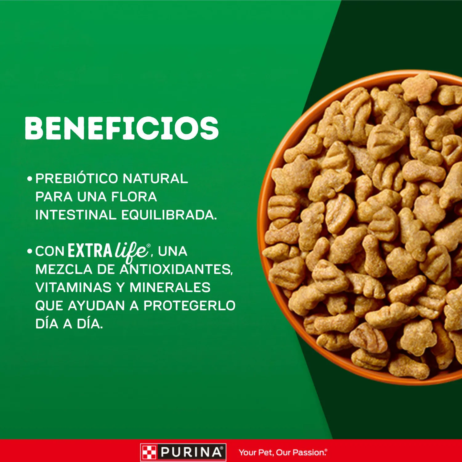 Comida para Perro Dog Chow Adulto Todos Los Tamaños X 22.7 Kg 7