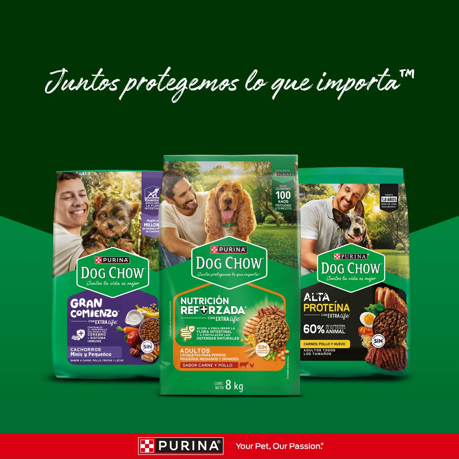 Comida para Perro Dog Chow Adulto Todos Los Tamaños X 22.7 Kg 8