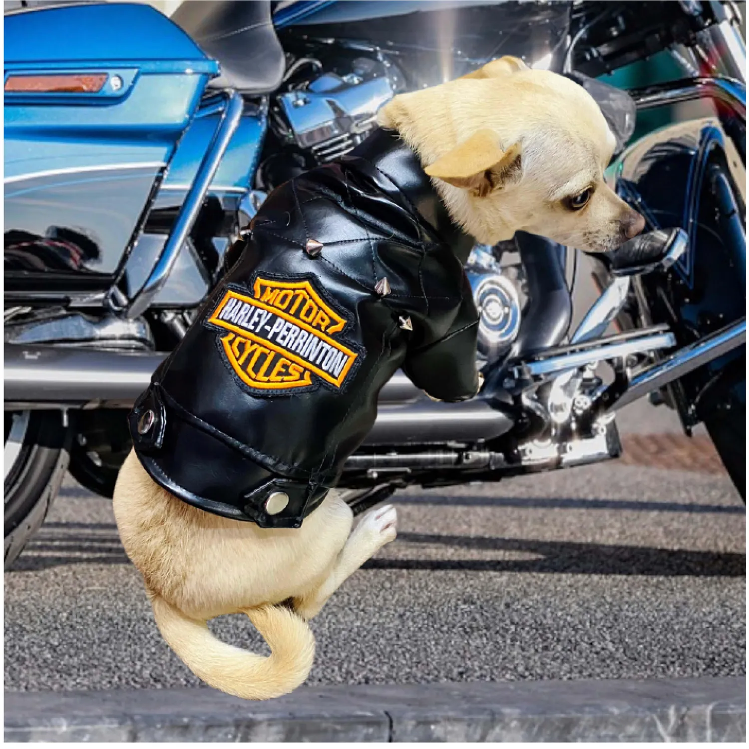Chaqueta Harley Negra S