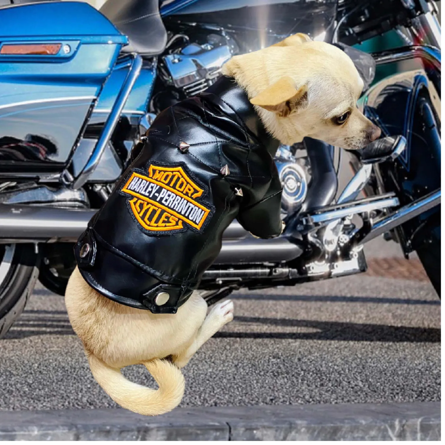 Chaqueta Harley Negra Xxl