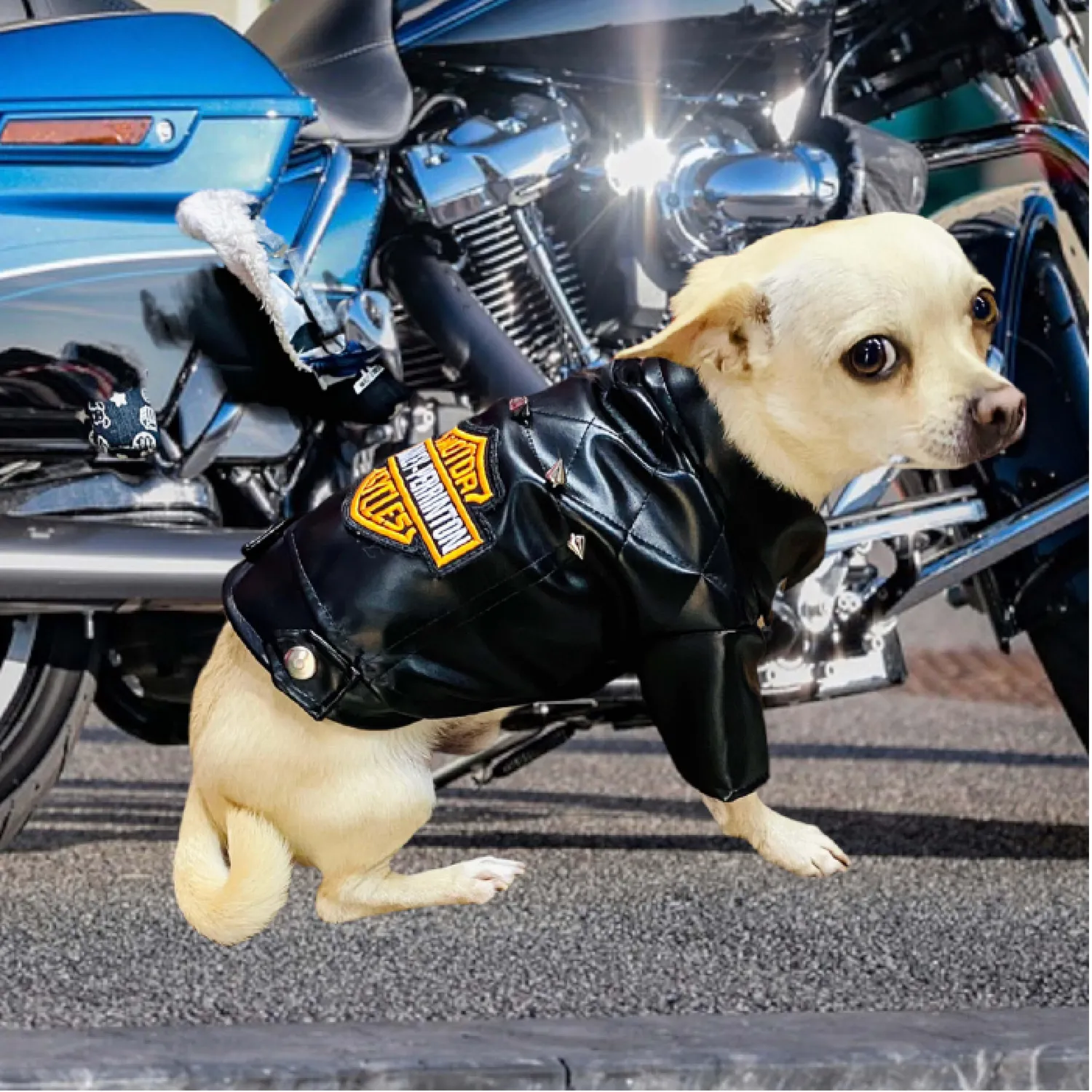 Chaqueta Harley Negra Xxl