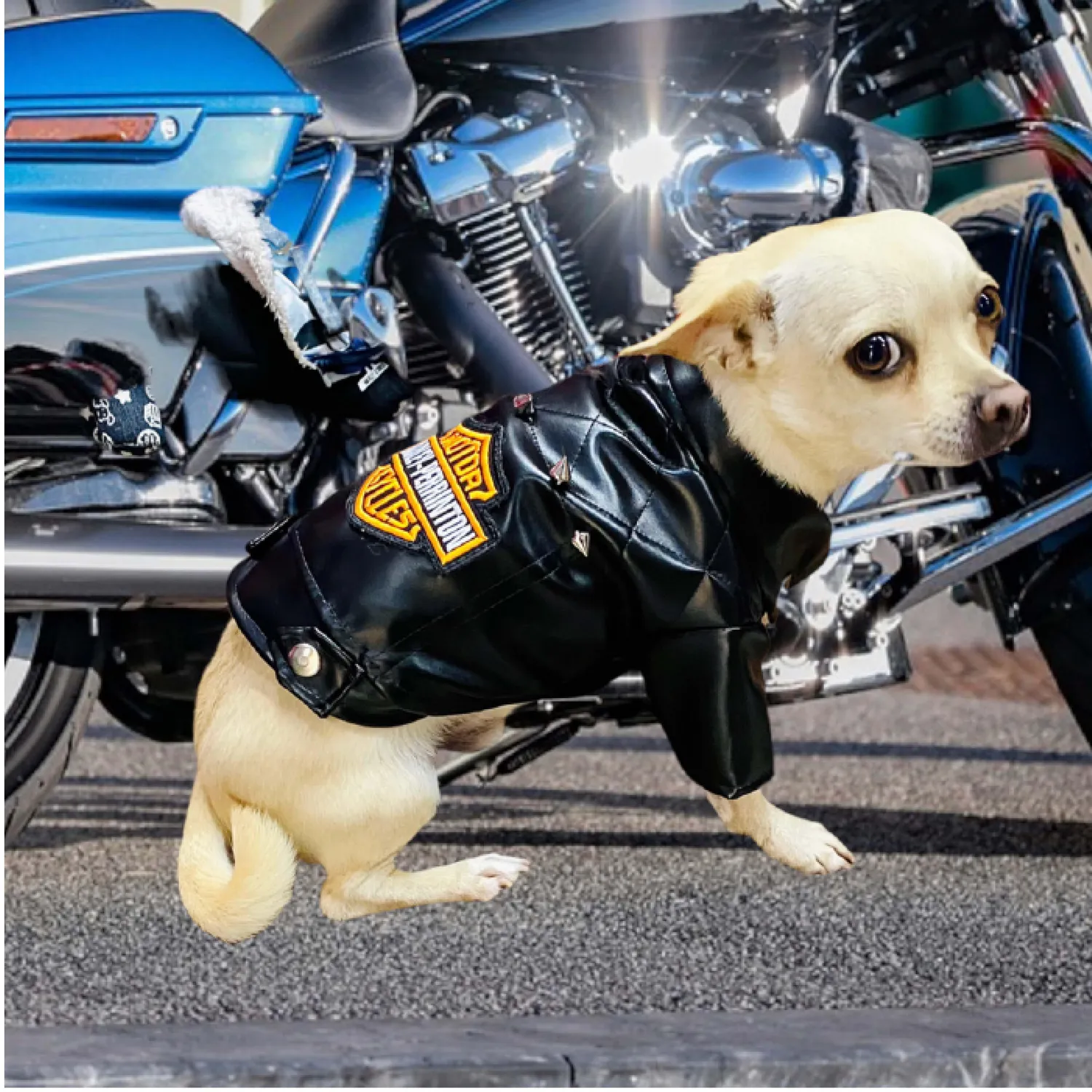 Chaqueta Harley Negra 4xl