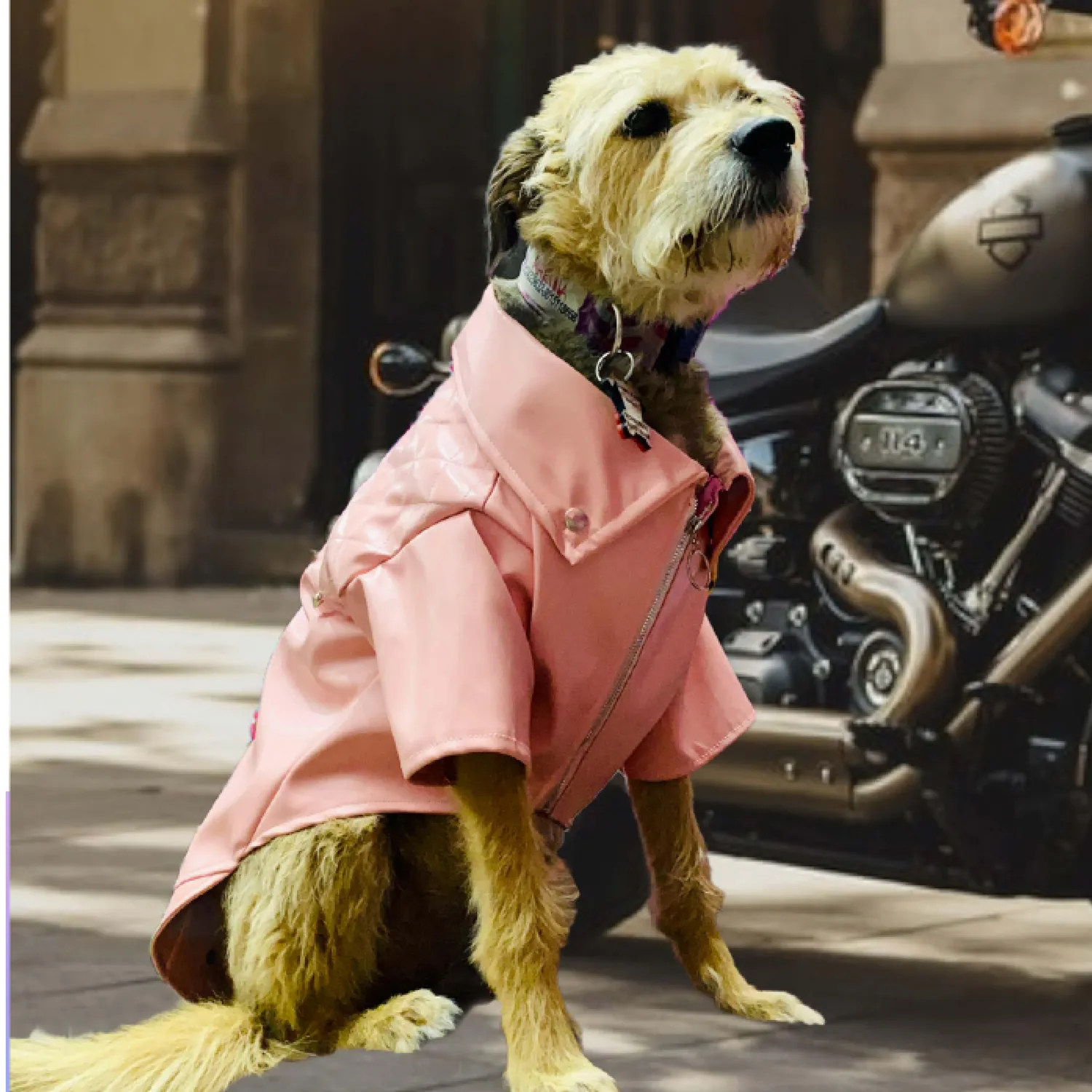 Chaqueta Harley Rosada L