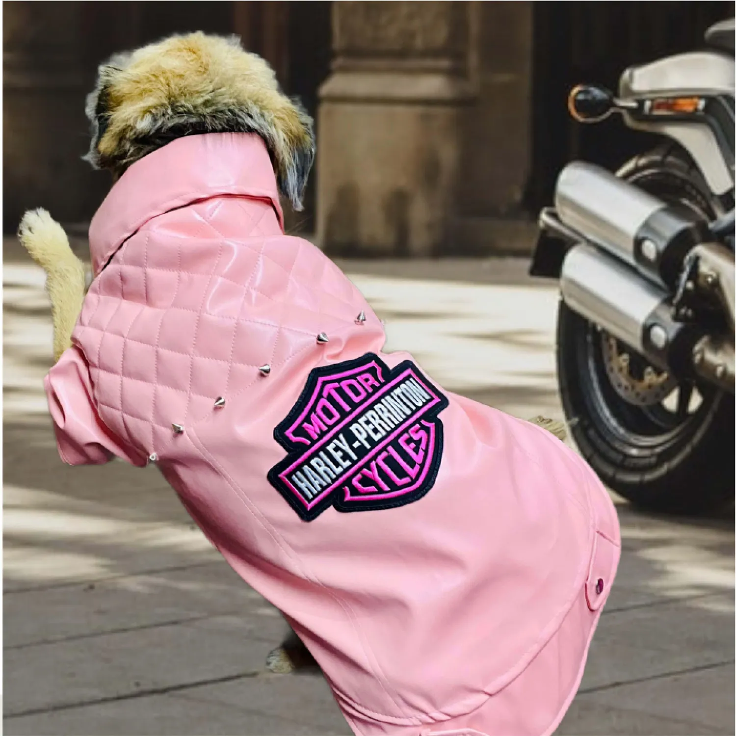Chaqueta Harley Rosada Xxl