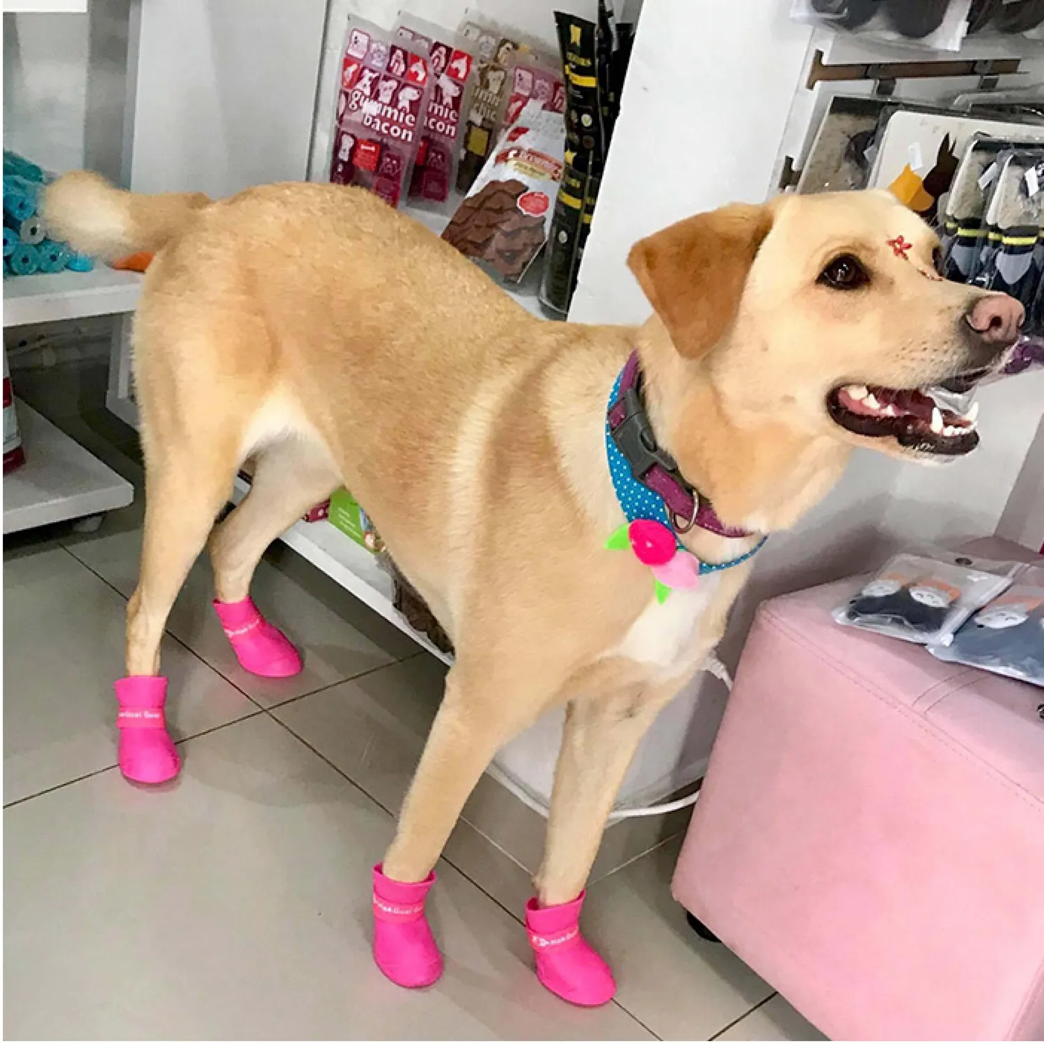 Botas Impermeables Hembra XL