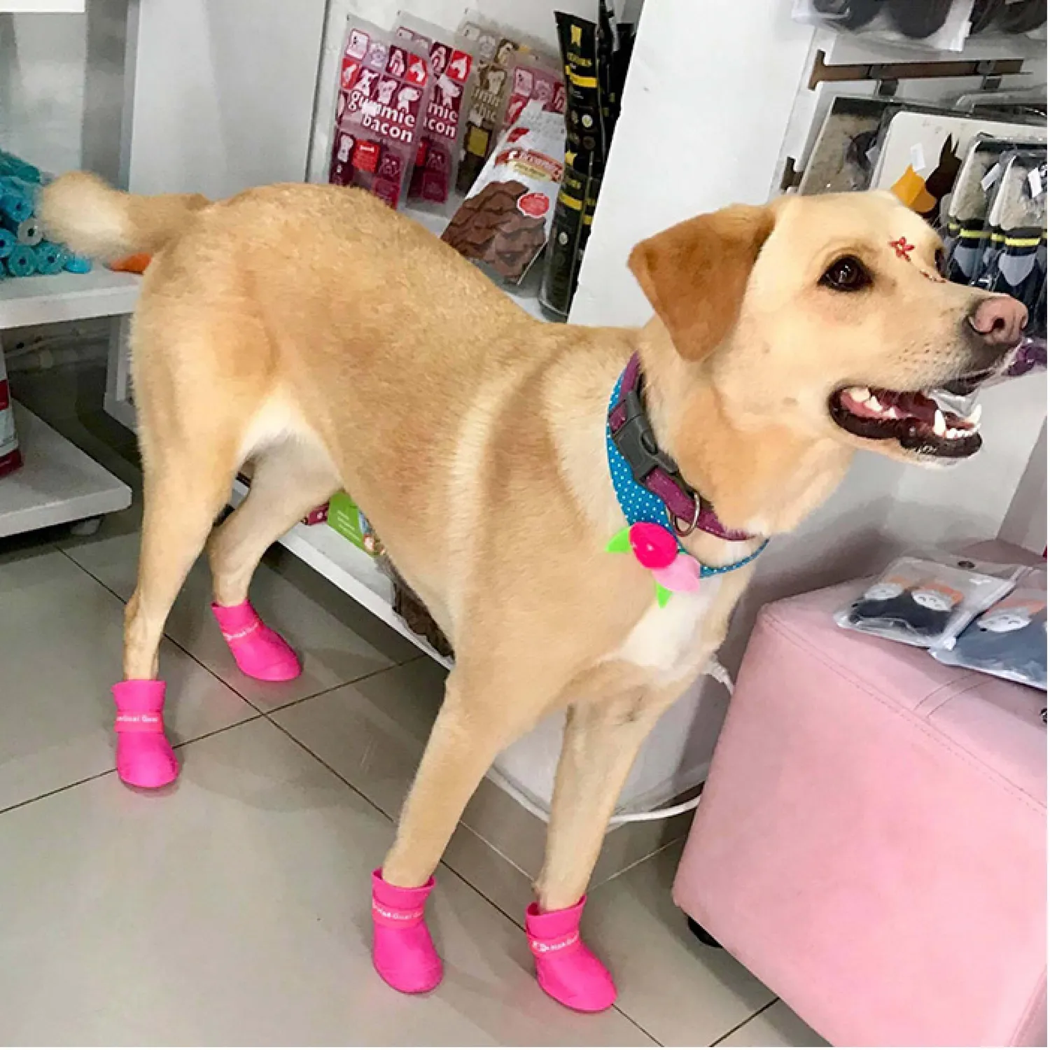 Botas Impermeables Hembra XXL