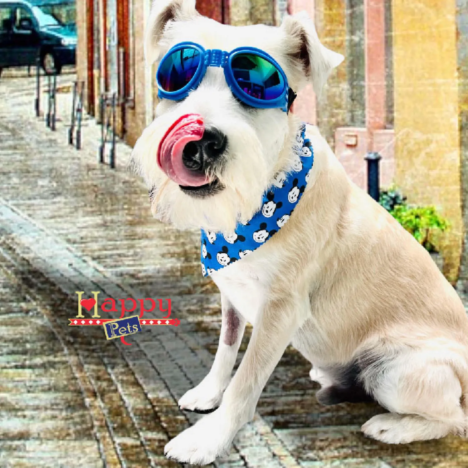 Gafas Uv400 Medianas