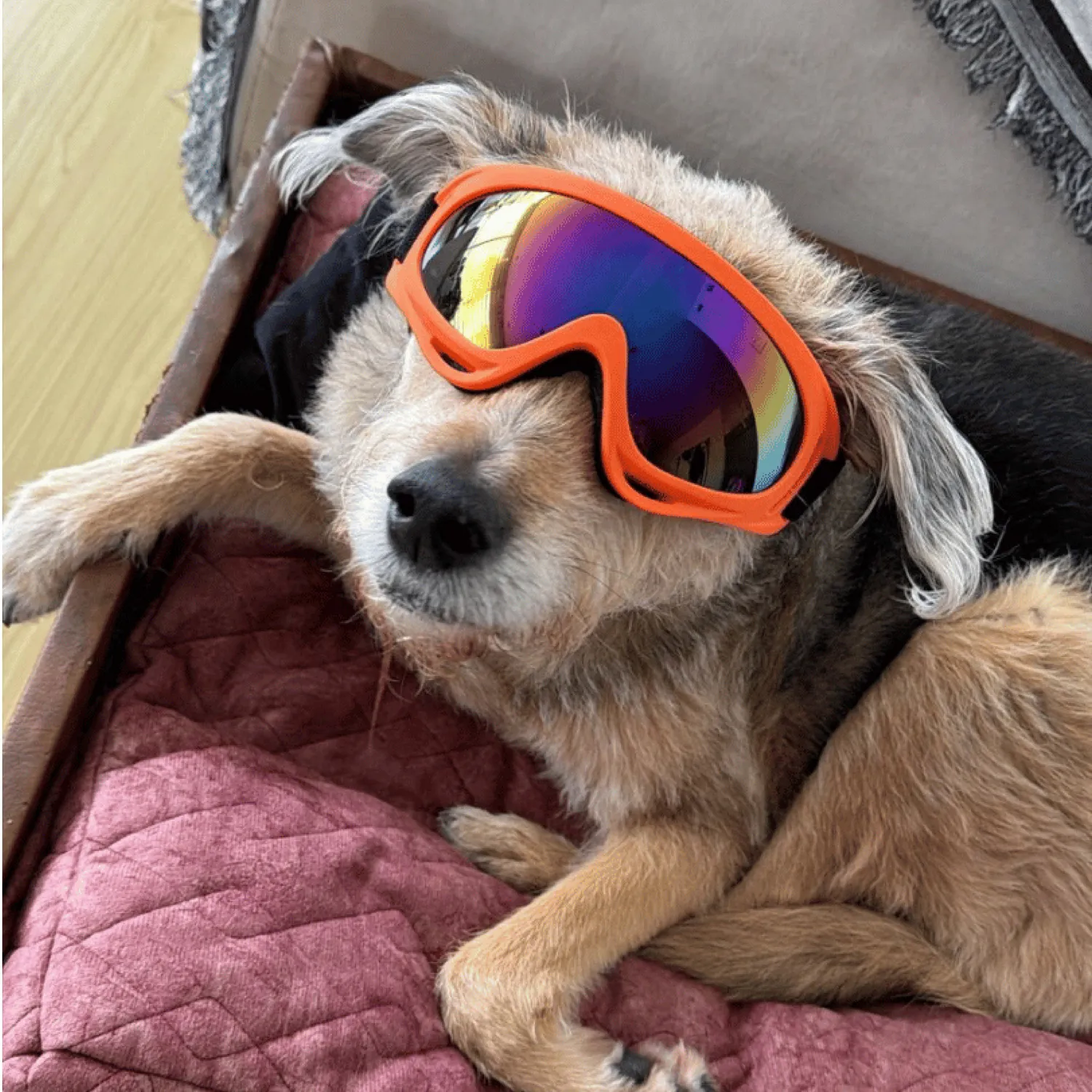 Gafas Uv400 Grandes