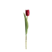 Tulipan Mediano 35 cm x 1 Rojo