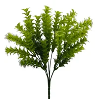 Hierba Eleusine Verde Claro