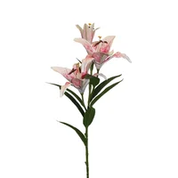 Lirio Grande Fucsia Combinado Fucsia 90cm