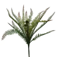 Hierba Persa Bicolor Delgado