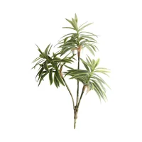 Lirio de Bambú Verde Blanco