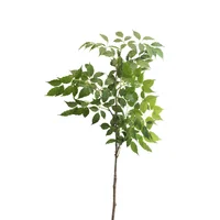 Euforbia Pulcherrima 117cm