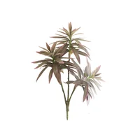 Lirio de Bambú Morado