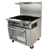 Estufa Profesional de 6 Puestos con Horno