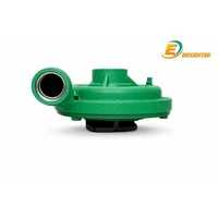 Caracol de Motomba 1.5"x1.5"