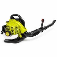 Sopladora a Gasolina Profesional 1HP 44 c.c. Dyllu