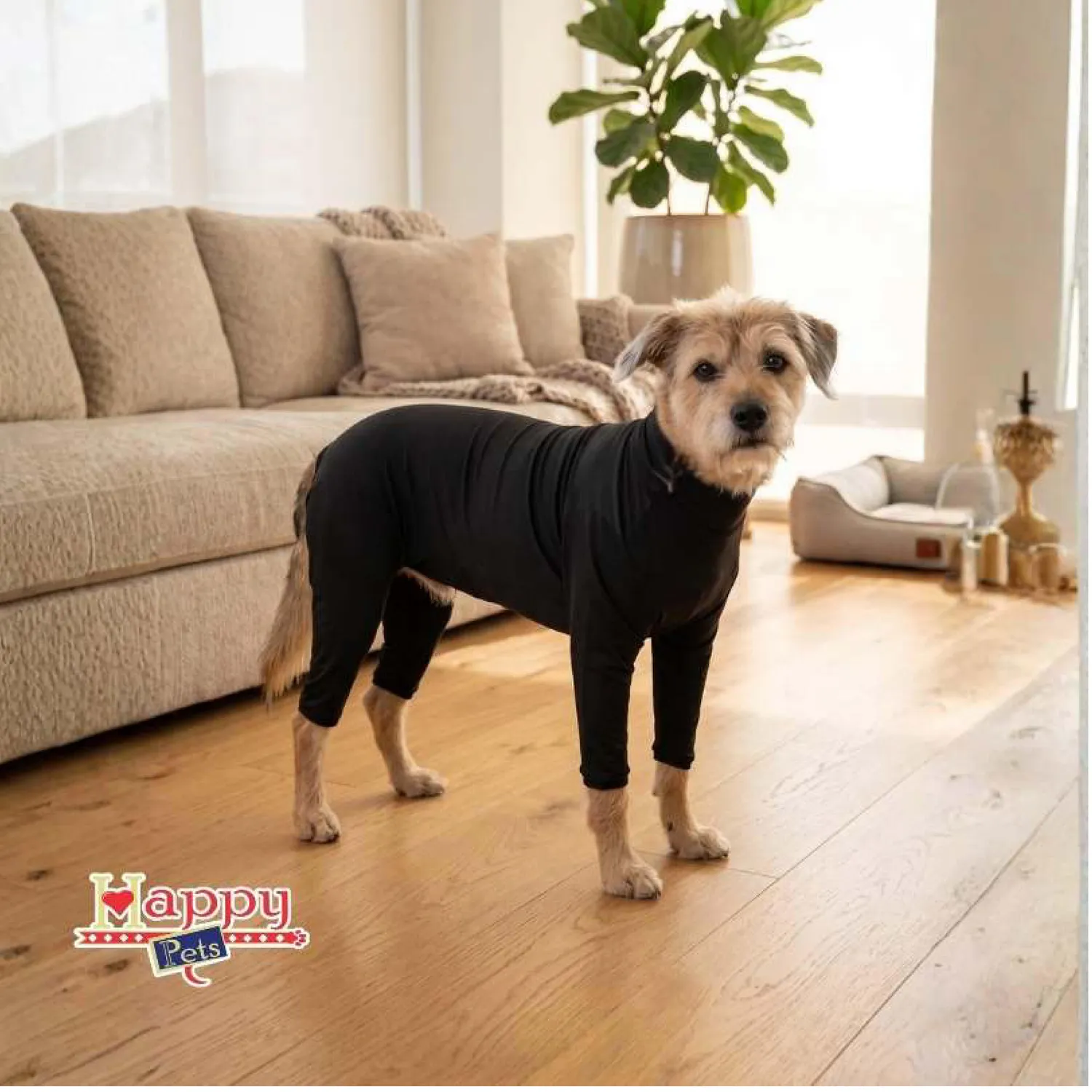 Enterizo Pocos Pelos Macho 4xl