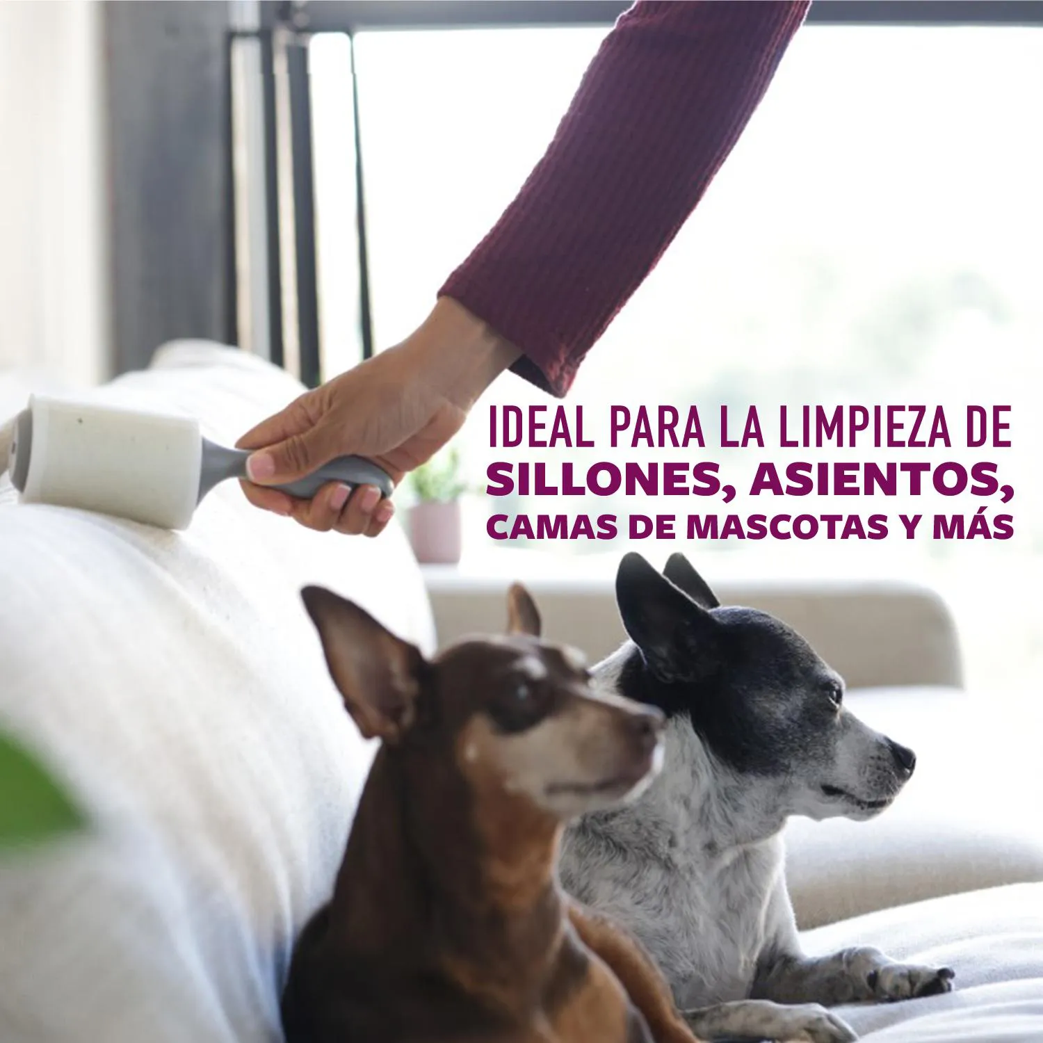 Rodillo Quita Motas para Perro Scotch-Brite X3 Unidades