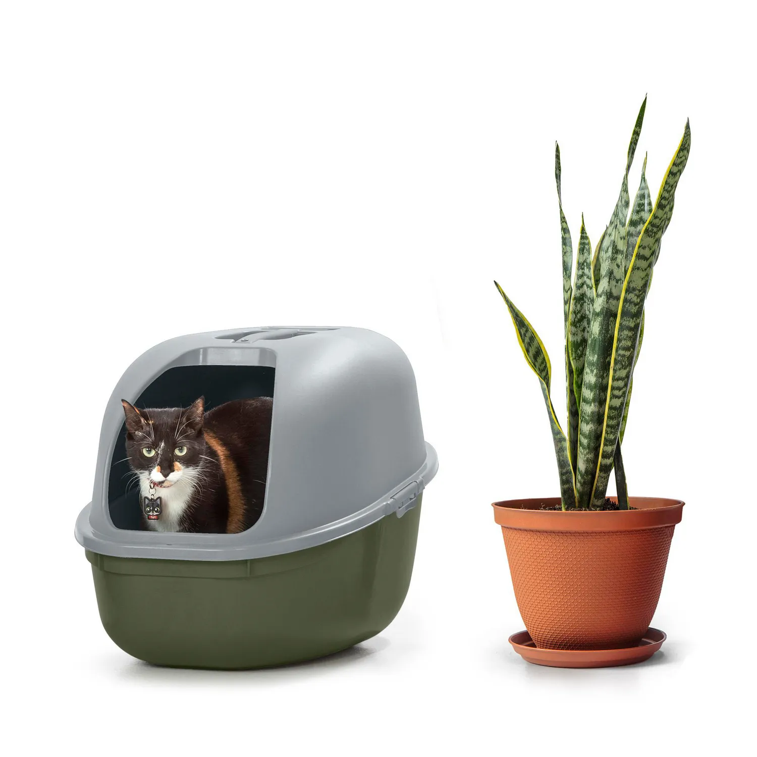 Arenera para Gato 40x40x60 cm Vrd/msg 3