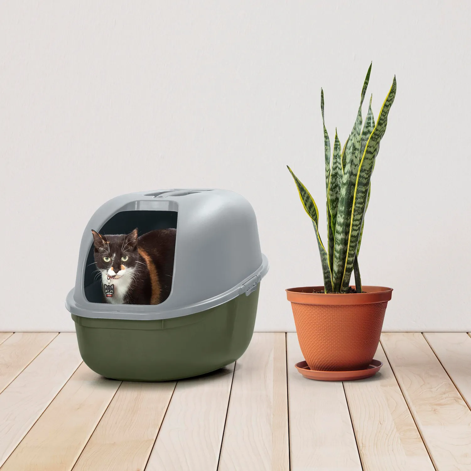 Arenera para Gato 40x40x60 cm Vrd/msg 4