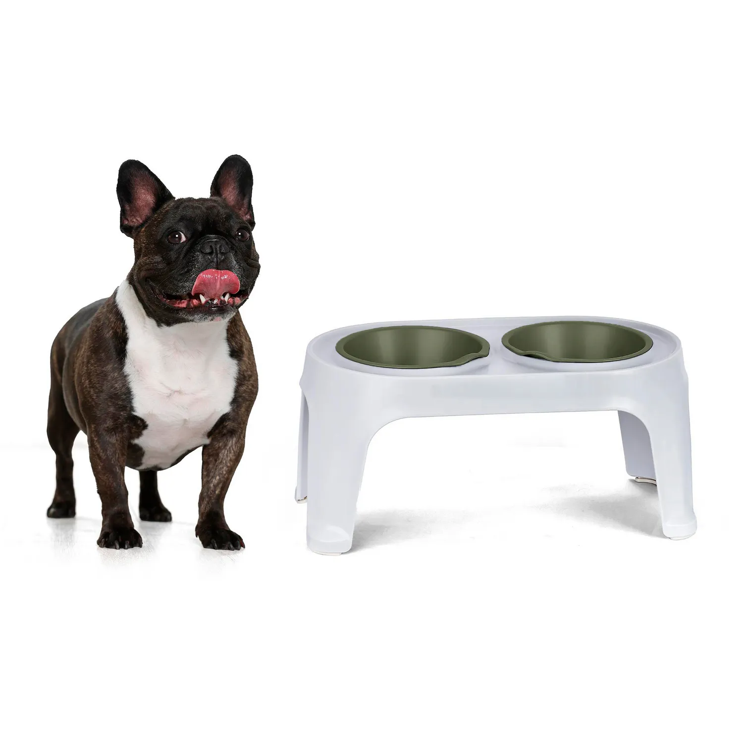 Comedero Alto para Perro Mediano Verde Rimax