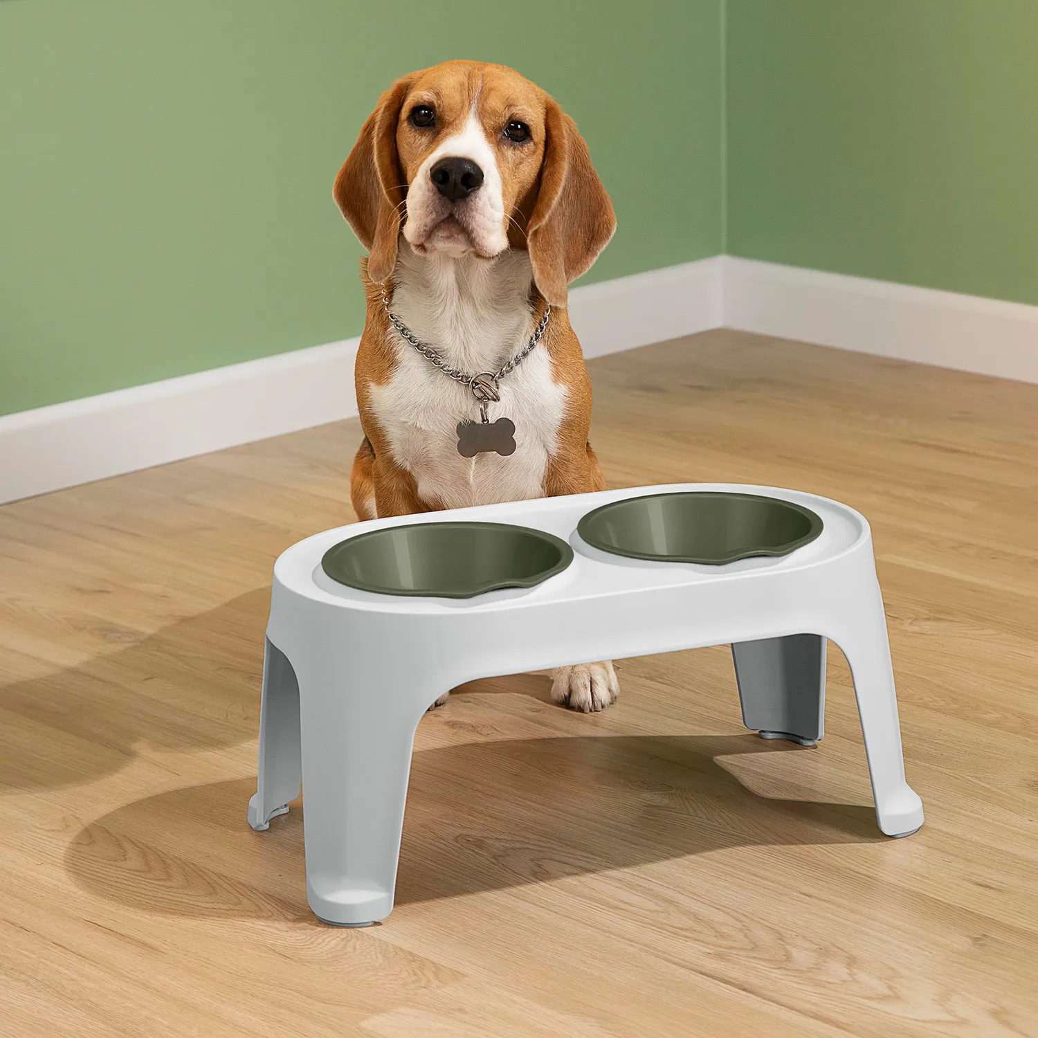 Comedero Alto para Perro Mediano Verde Rimax 3