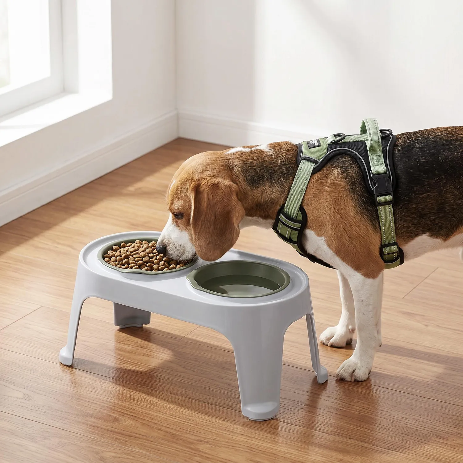 Comedero Alto para Perro Mediano Verde Rimax 6