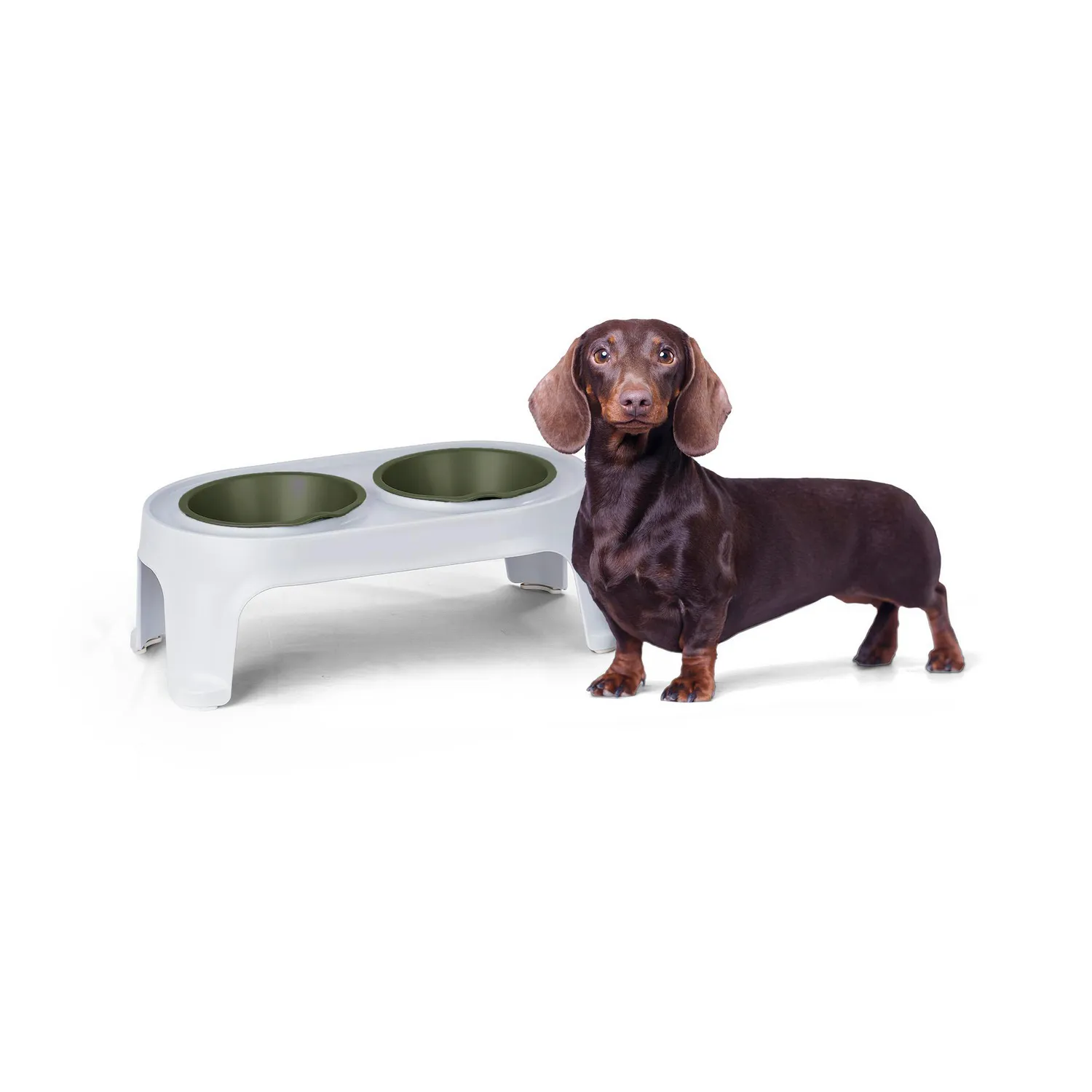 Comedero Alto para Perro Pequeño Verde Rimax 3
