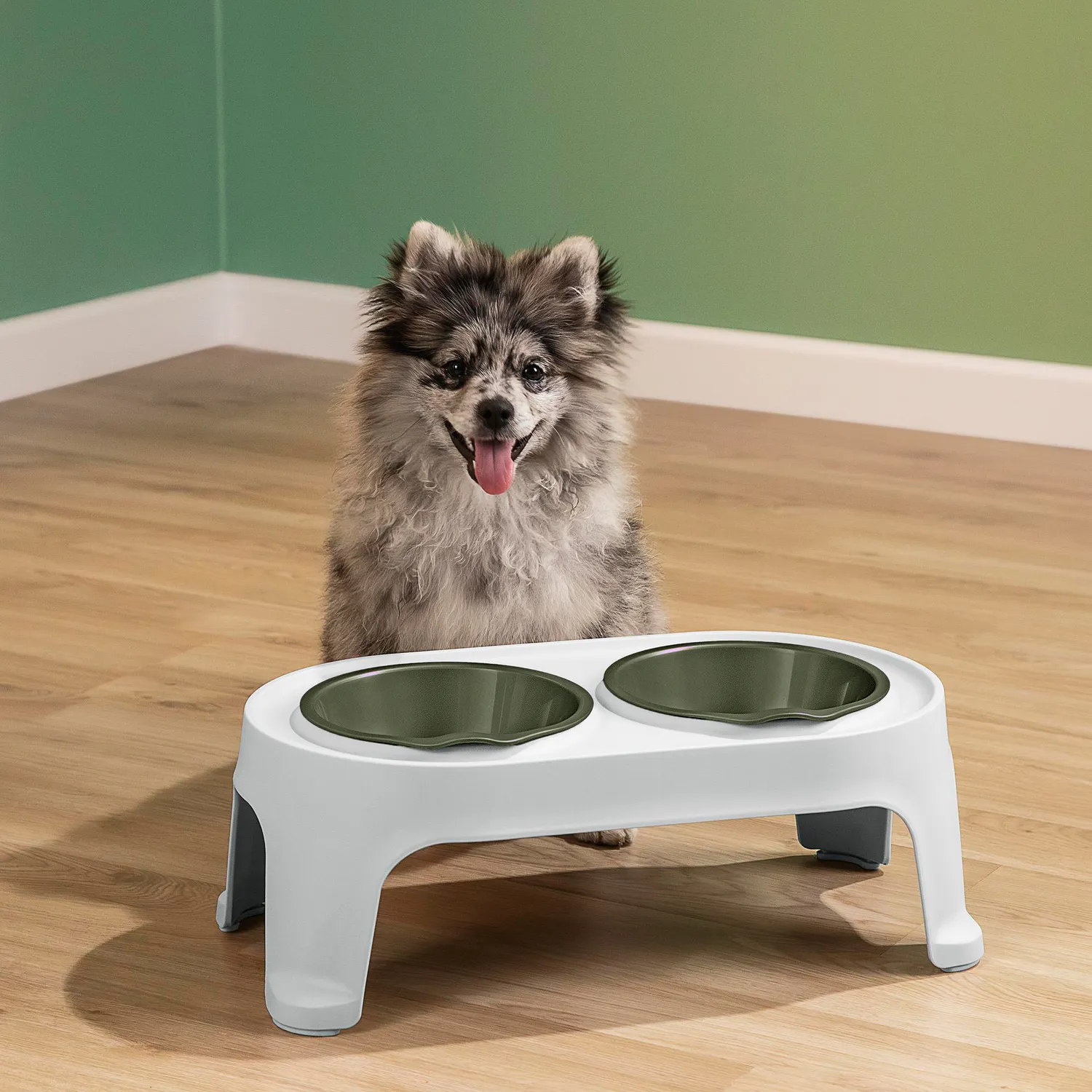Comedero Alto para Perro Pequeño Verde Rimax 4