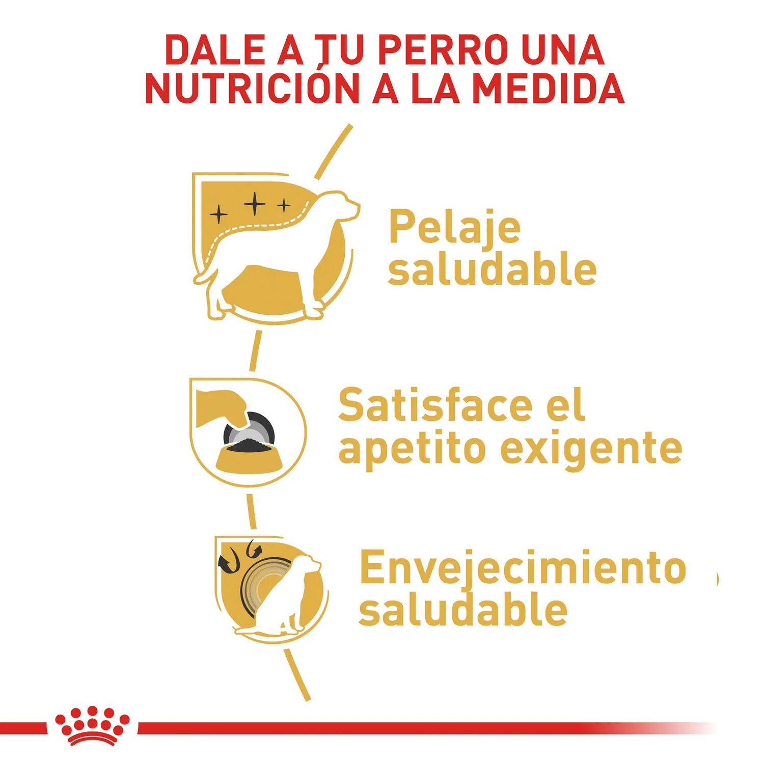 Pc Comida Seca Royal Canin Yorkshire Adulto 1.13 3