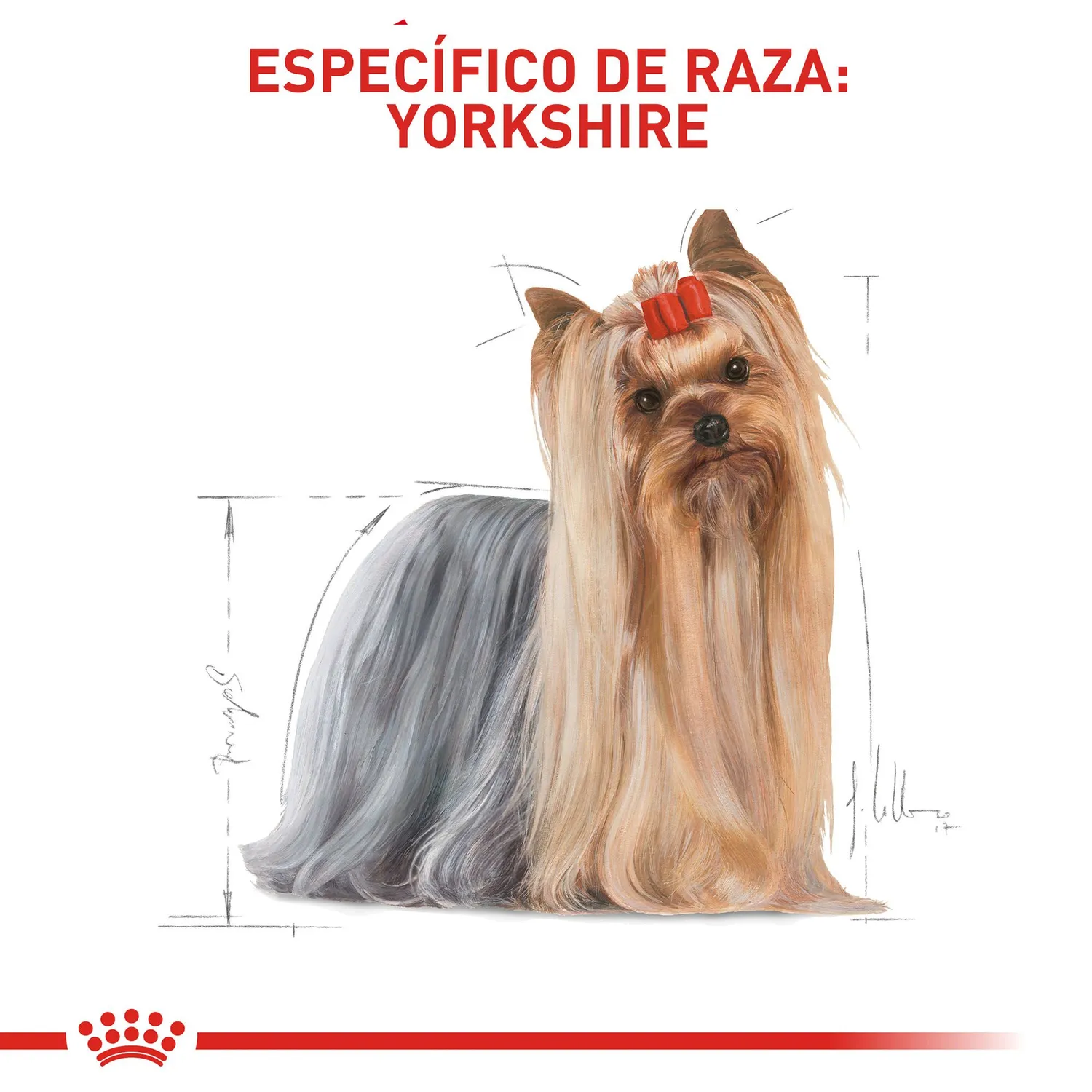 Pc Comida Seca Royal Canin Yorkshire Adulto 1.13 5