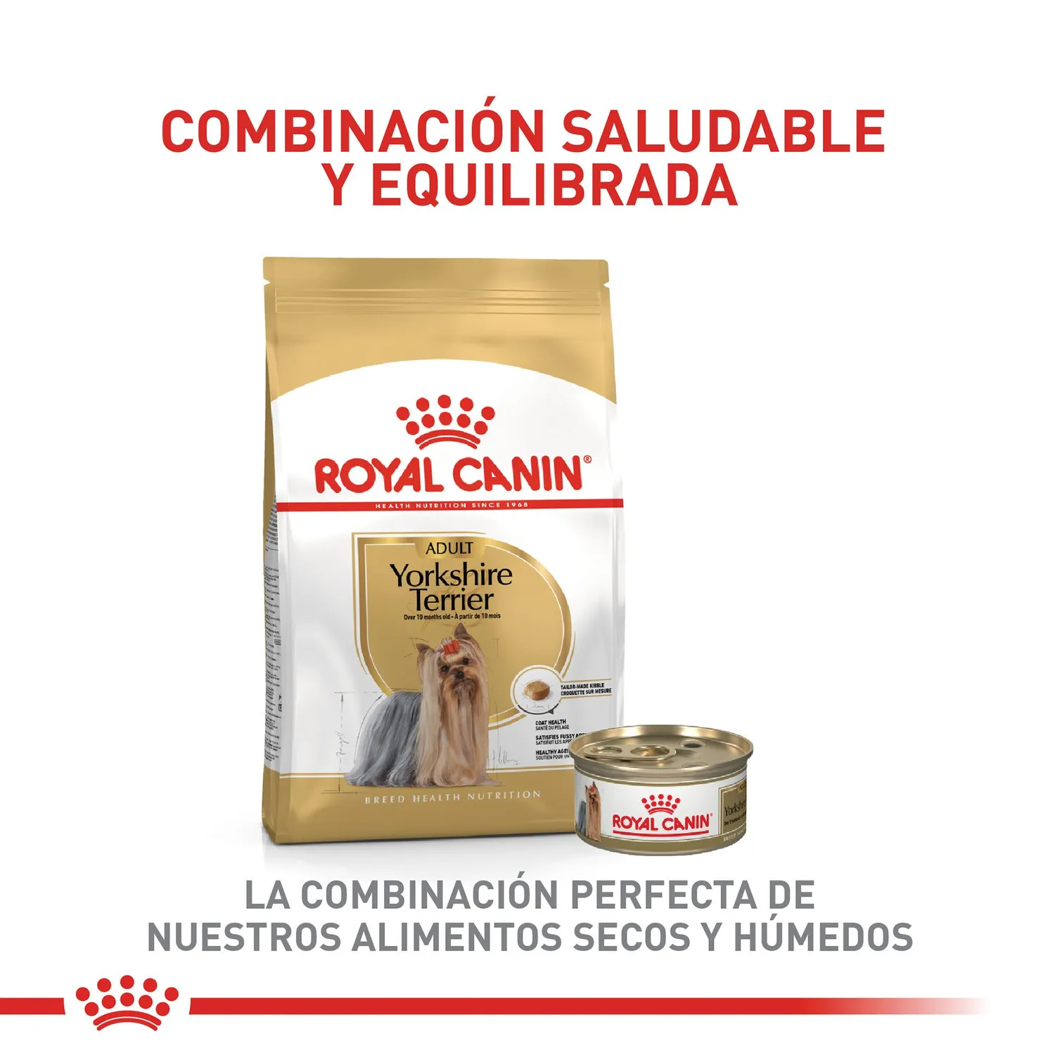 Pc Comida Seca Royal Canin Yorkshire Adulto 1.13 6