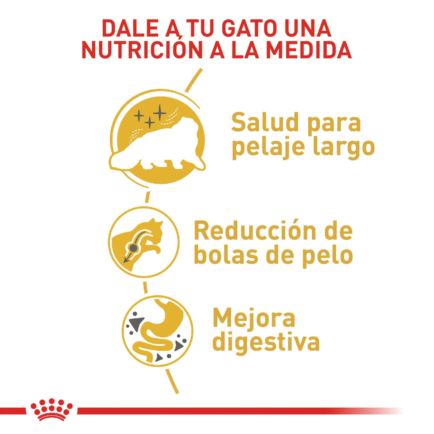 Pc Comida Seca Raza Persa Adulto 2 Kg 3