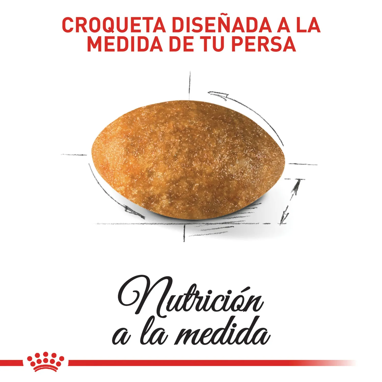 Pc Comida Seca Raza Persa Adulto 2 Kg 4