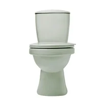 Sanitario Laguna 4.8l Verde Claro Corona  Consumo 4.8 l/min