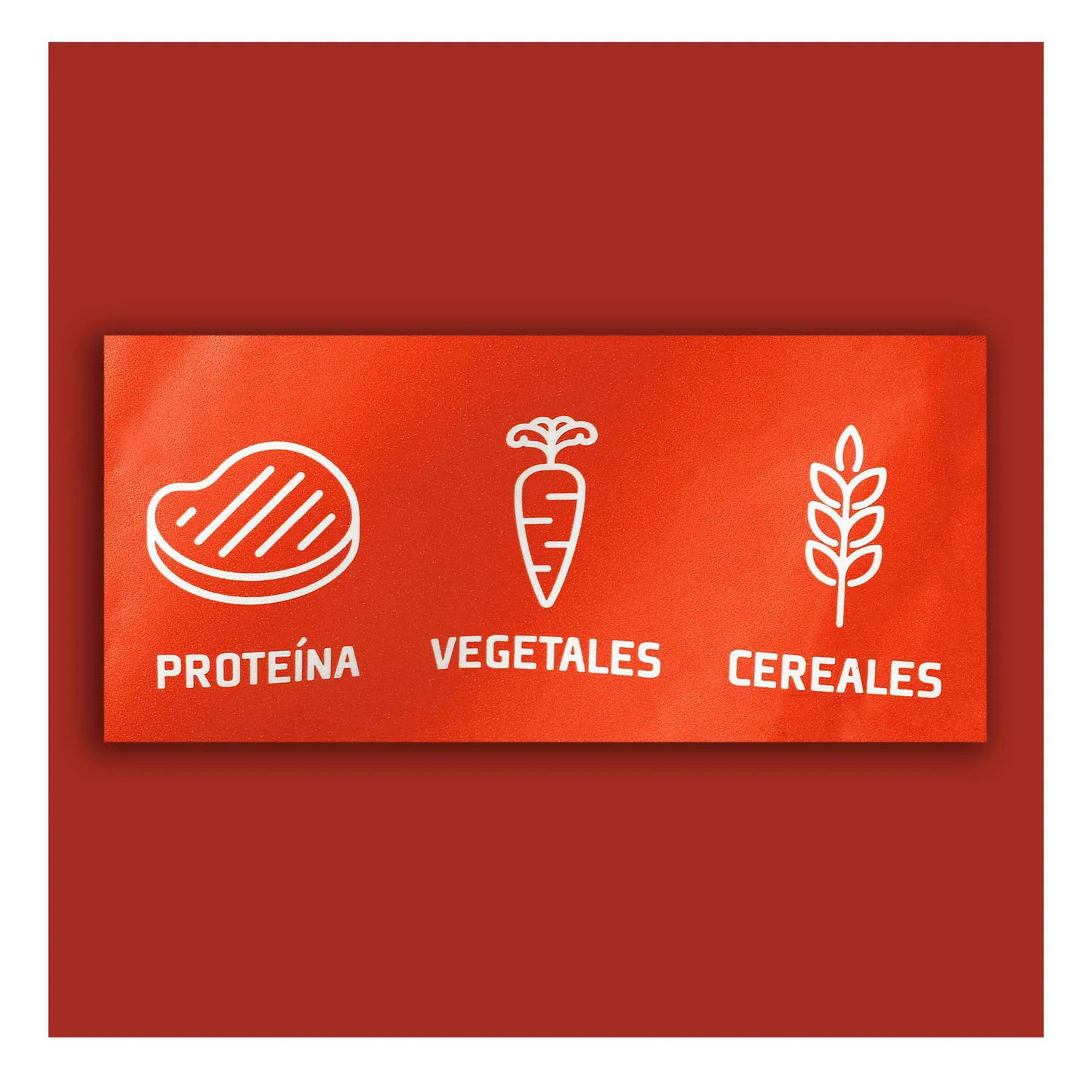 Comida Seca Para Perro Dogourmet Adulto Carne Parrilla 4kg 4
