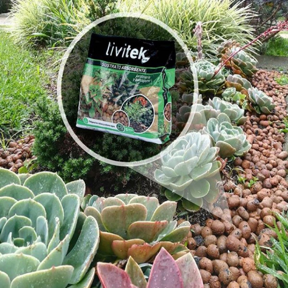 CORONA - SUSTRATO LIVITEK GREEN JARDIN SACO 5lt