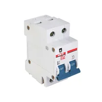 Breaker Riel 2P X32Amp 6Ka