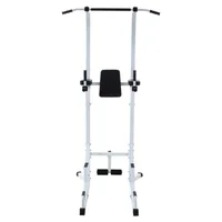 Estructura Para Abdomen Y Dominadas Gimnasio Rk4201 Capacidad 100Kg Color Negro/Gris