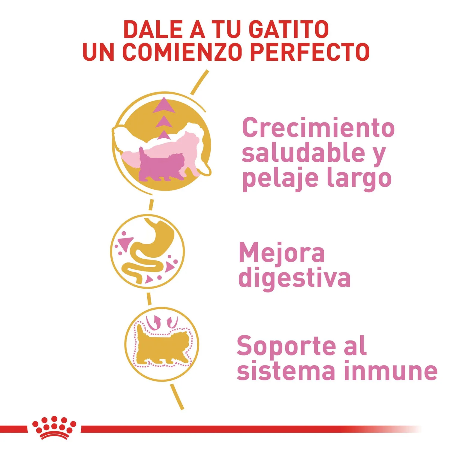 Comida Seca Para Gato Raza Persian Kitten Royal Canin 2 Kg 3