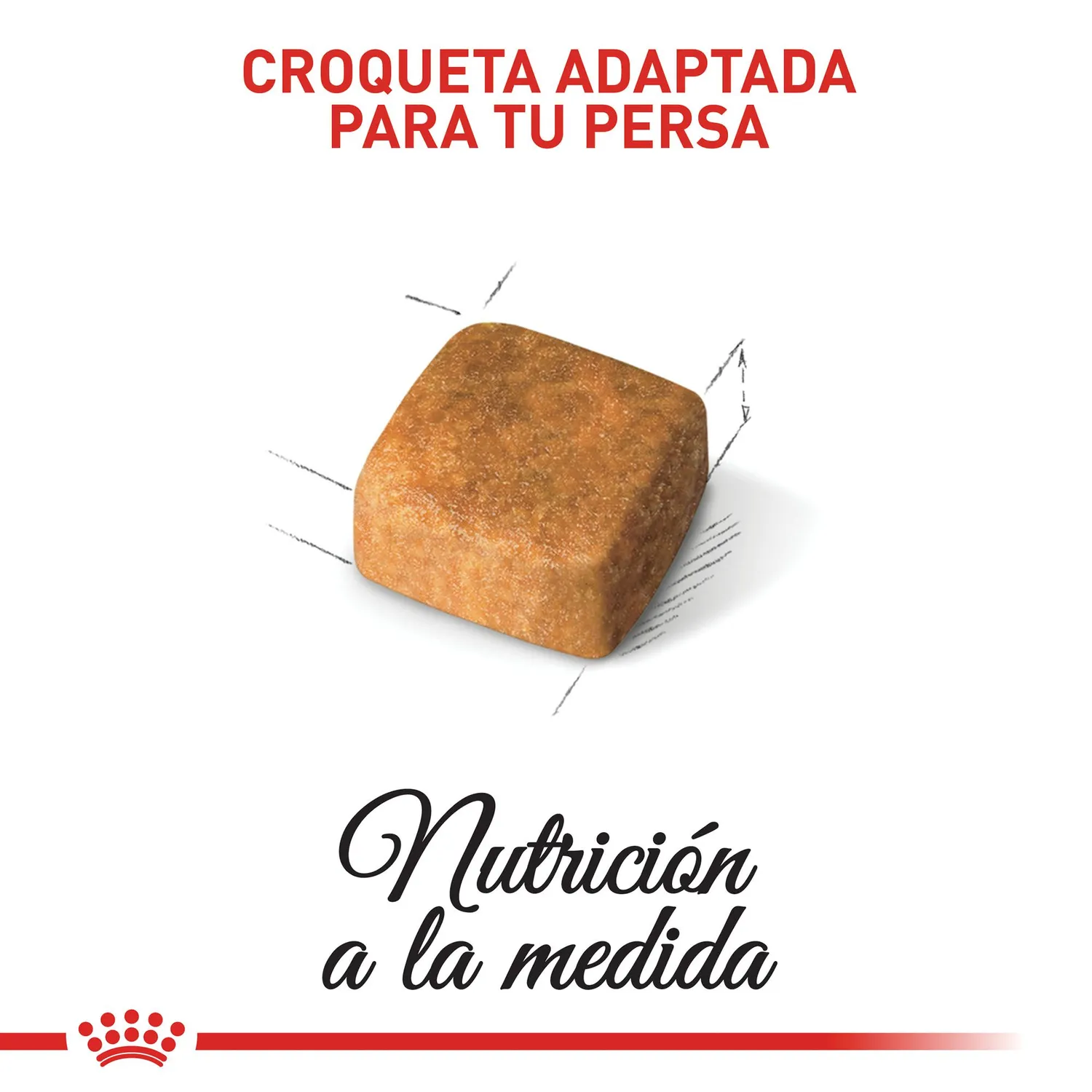 Comida Seca Para Gato Raza Persian Kitten Royal Canin 2 Kg 5