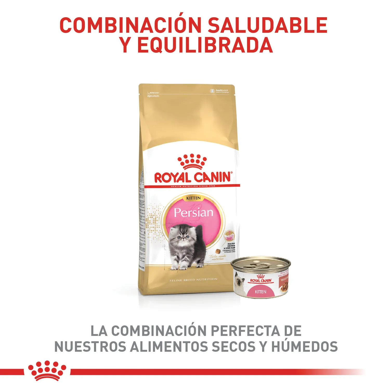 Comida Seca Para Gato Raza Persian Kitten Royal Canin 2 Kg 7