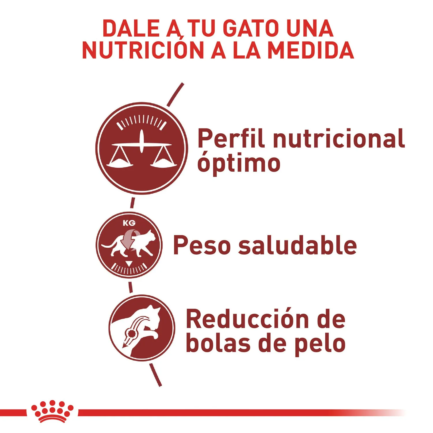 Comida Seca Para Gato Adulto Fit 32 Royal Canin 2 Kg 3